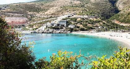Social Camping JAL