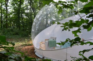 Property grounds - Bubble Tent Loiret: nature and comfort, close to the Loire castles (Chuelles)