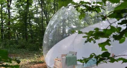 Bubble Tent Loiret : nature et confort, proche des chateaux de la Loire