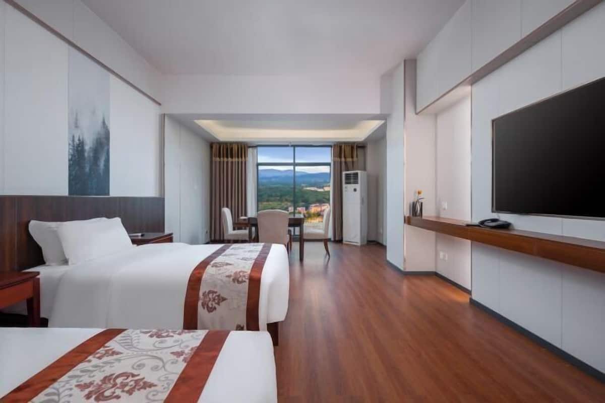 Habitación de hotel con una cama grande, un escritorio, una silla, un televisor y vistas al exterior.