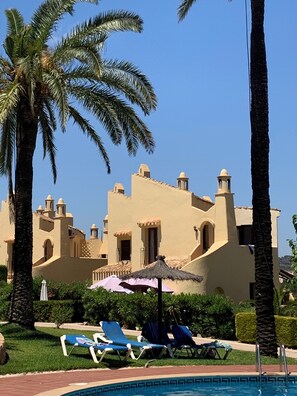 A pool area with lounge chairs and a palm tree.