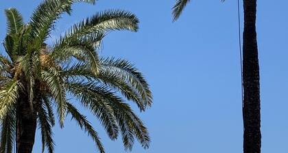 Beautiful, comfortable home in the heart of the sought-after Manga Club