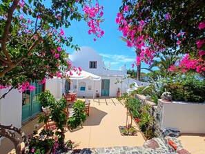 Apartment | 1 bedroom - Bonora Country Houses - Alitana (Santorini)