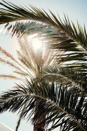 아파트 | 1 개의 침실