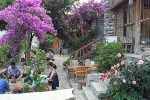 Jardin