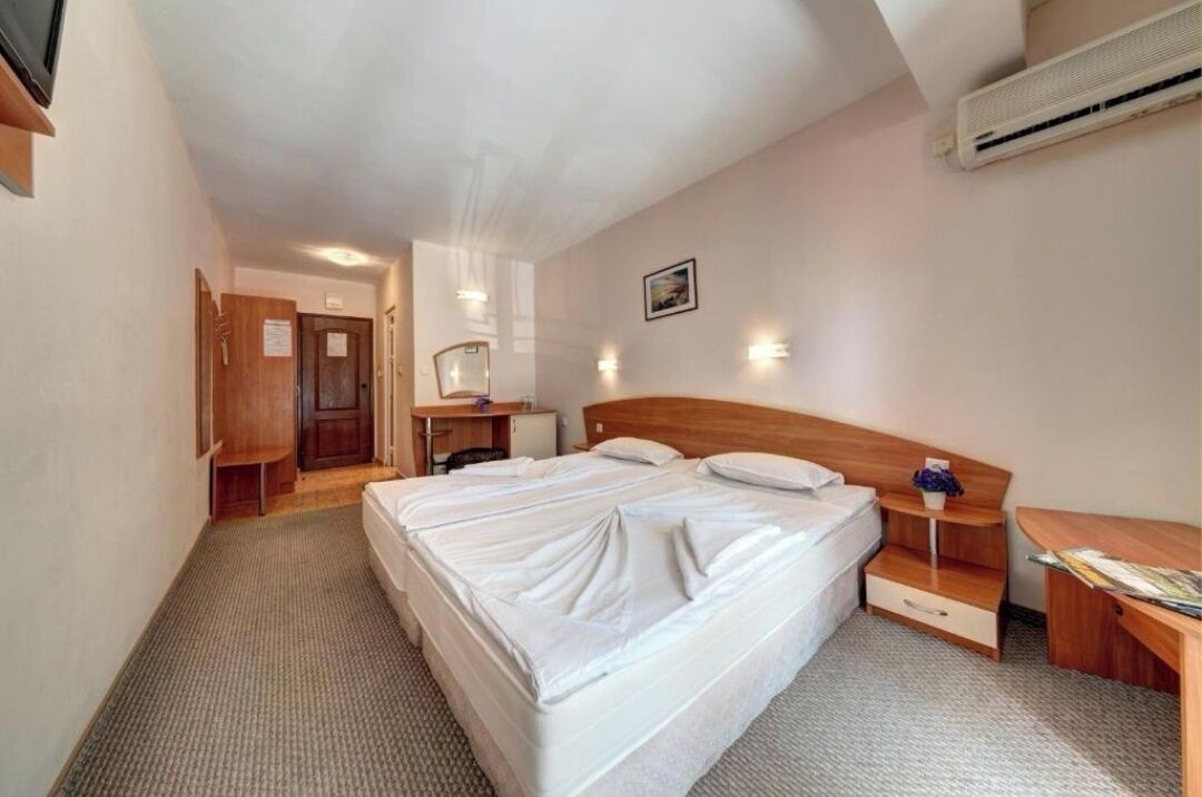 Foto - Paloma - in the center of the city