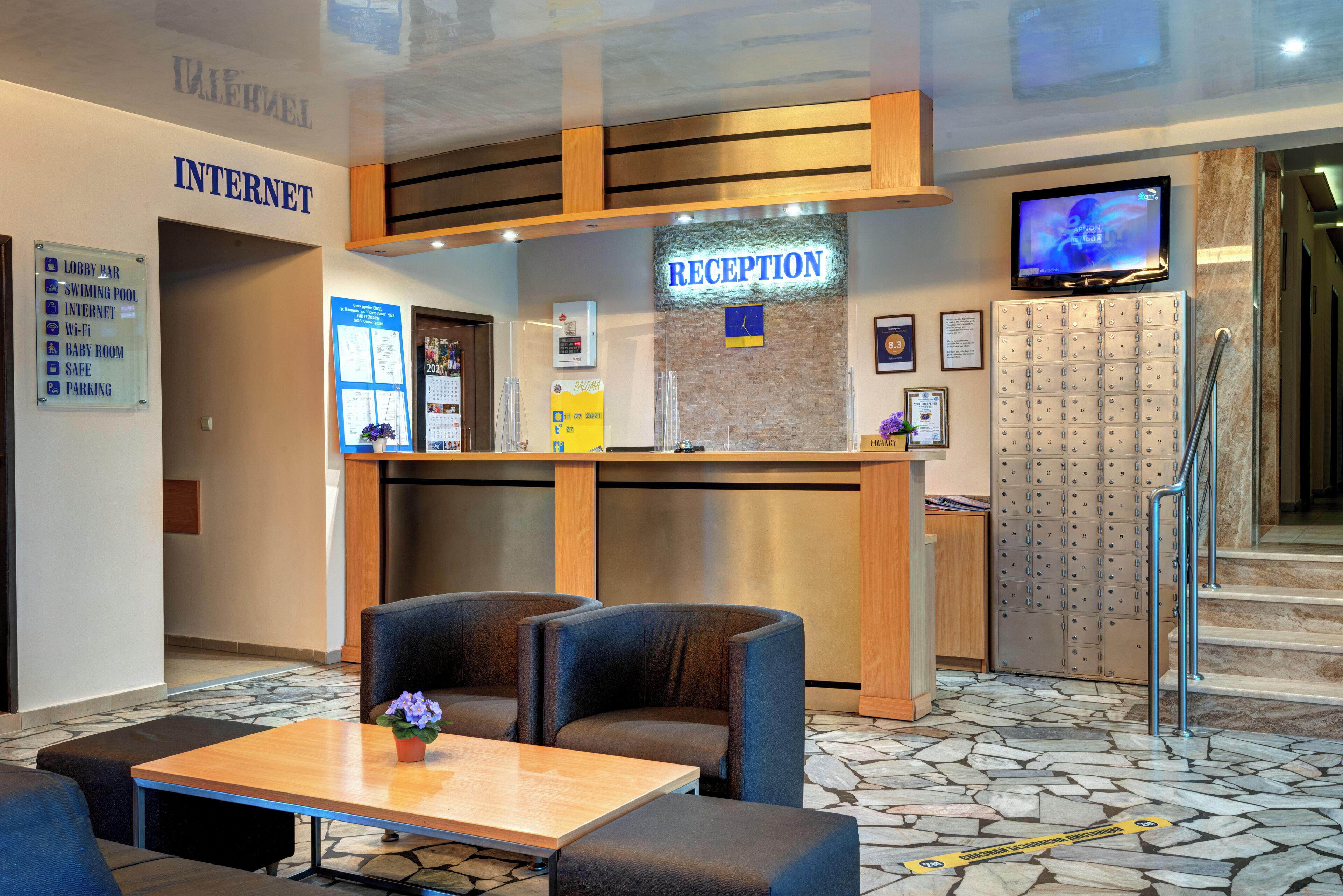 Foto - Paloma - in the center of the city