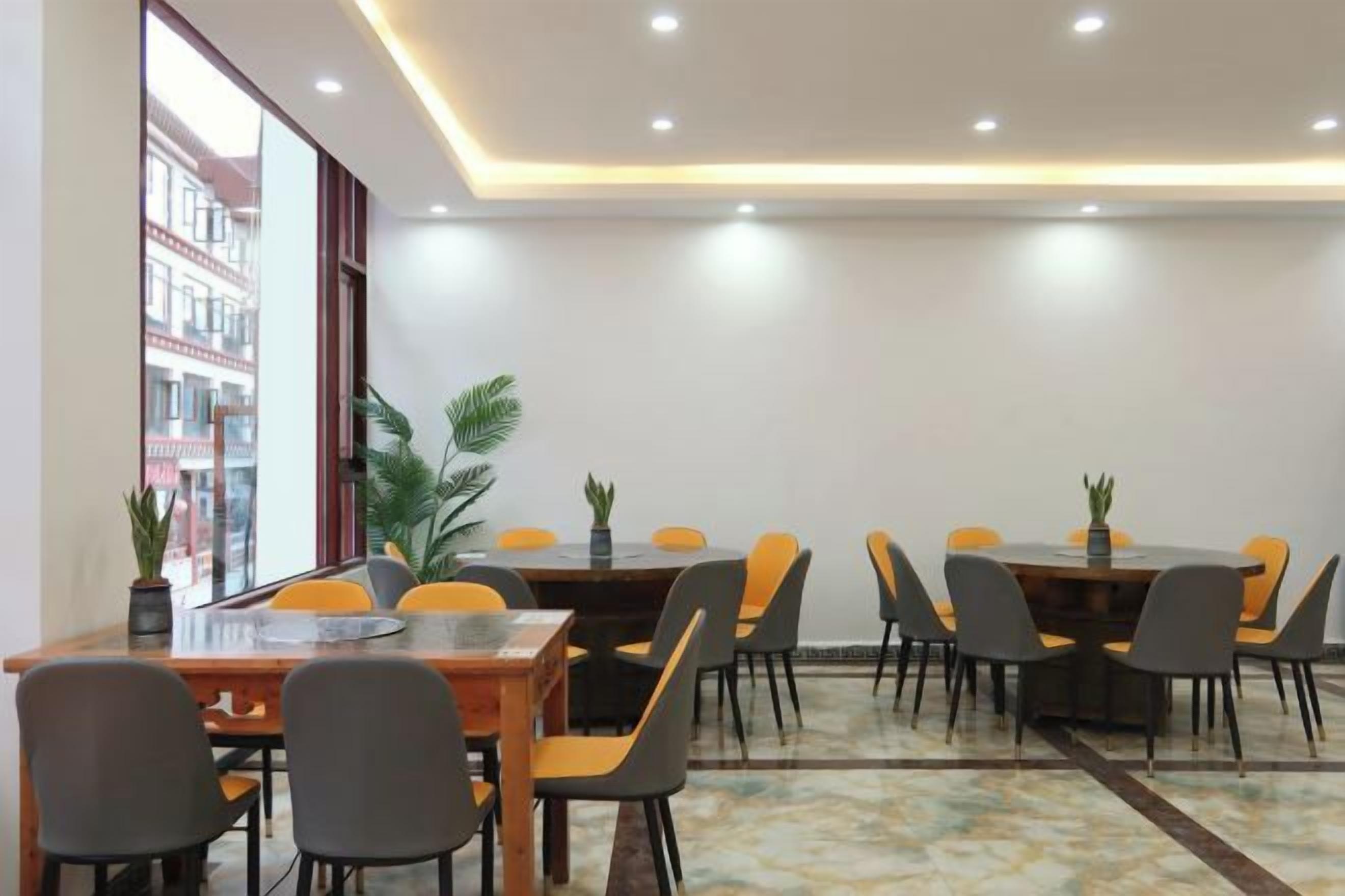 Une salle de conférence avec une longue table et de nombreuses chaises, une plante en pot et une vue sur un immeuble à travers de grandes fenêtres.