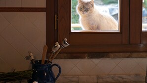 Una cocina con ventana, un lavamanos y un bol de huevos sobre la encimera.