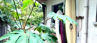 Entre la Forêt de Pins et l'Océan! Chambre d'hôtes avec petit déjeuner inclus