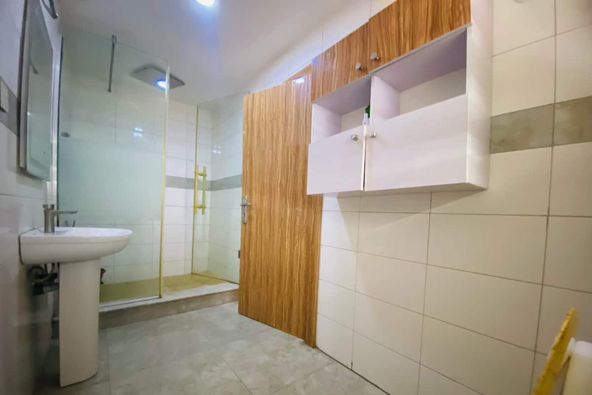 Economy Apartment | Bathroom