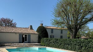 Une piscine rectangulaire à l’eau d’un bleu cristallin, entourée d’une terrasse dallée de pierres.