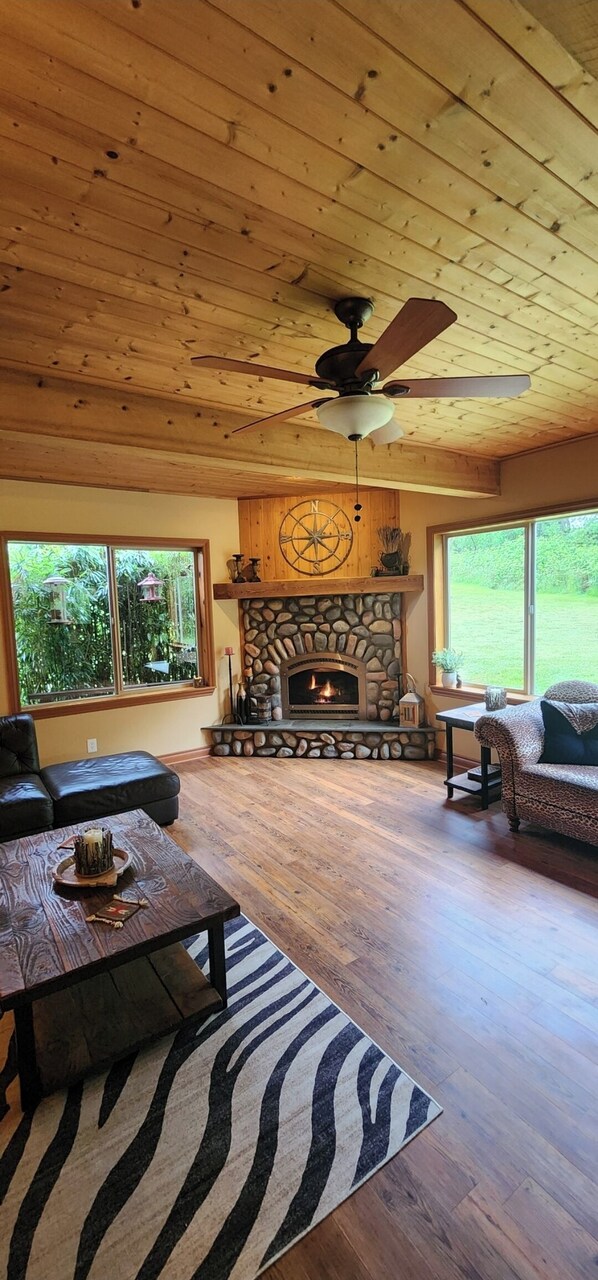 Smart-tv, eldstad och böcker