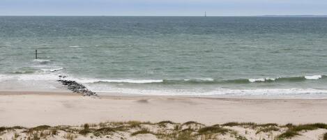 بالقرب من الشاطئ