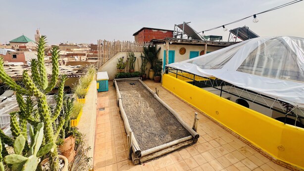 Una terraza en la azotea con cactus en macetas, un pequeño jardín y una barandilla amarilla.
