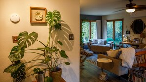 Un salon agrémenté d’une grande plante, d’un ventilateur de plafond et offrant une vue sur l’extérieur par les fenêtres.