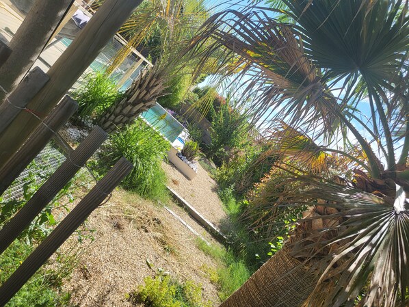 Property grounds - Location Villa SUD DE LA France (Saint-Séries)