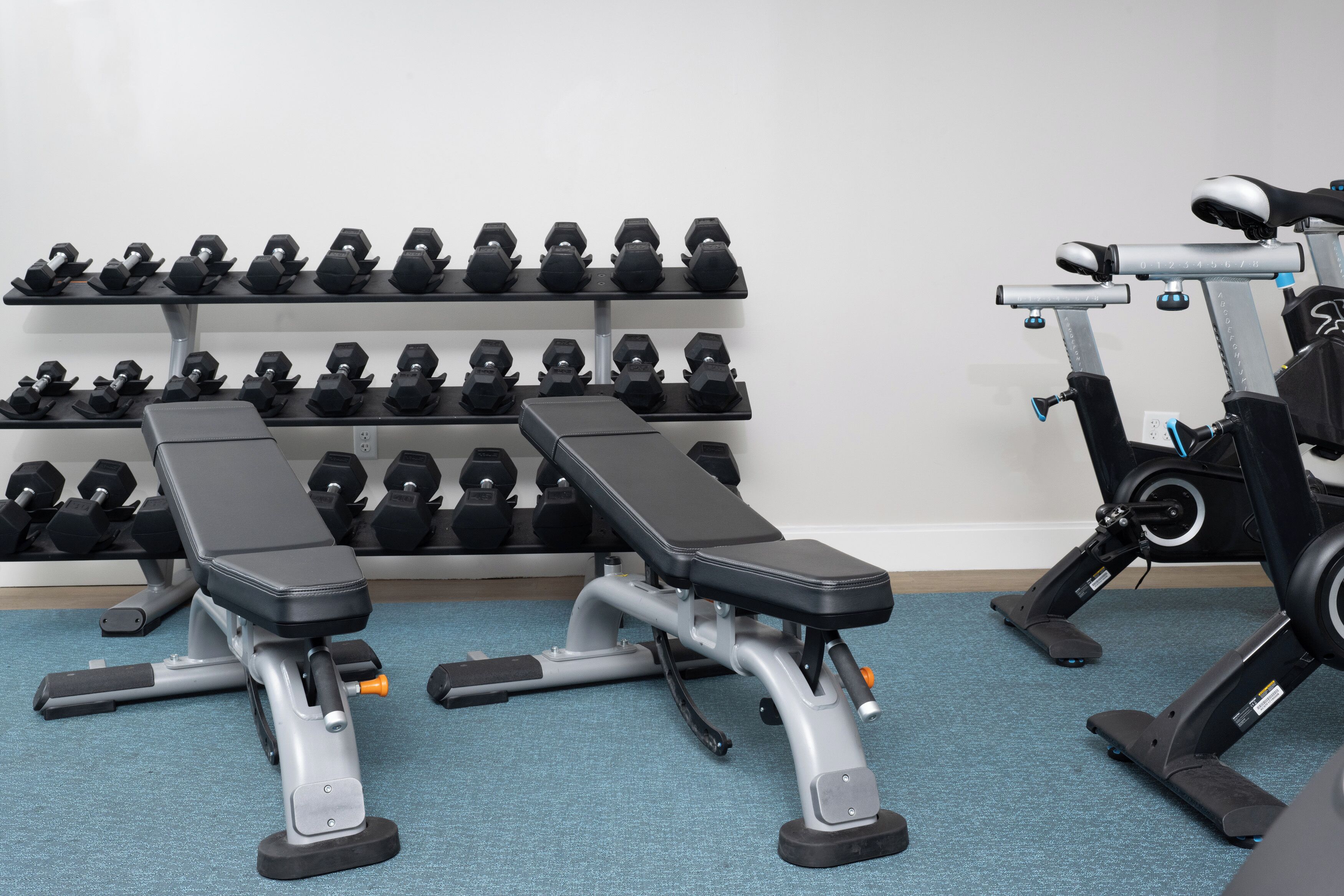 Un gimnasio con dos bancos, una pared de mancuernas y una bicicleta estática.