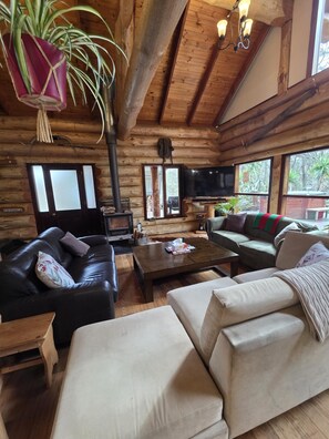 Smart-TV, Kamin, DVD-Player, Bücher