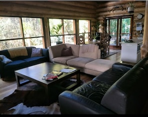 Smart TV, fireplace, DVD player, books