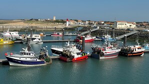 Uma marina com vários barcos atracados, um farol ao fundo e uma ponte ligando o cais à margem.