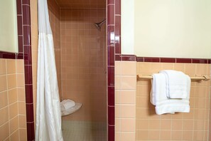 Shower, hair dryer, towels - Star Gate Room 7 Indian River, MI (Indian River)