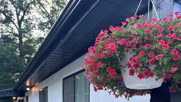 Een wit gebouw met zwarte raamkozijnen en een bloemenmand met roze bloemen.