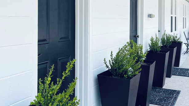 A row of dark-colored doors with a white exterior, each with a black planter box containing green plants. - Room 6 at Inland Lakes Motel, Indian River, MI (Indian River)