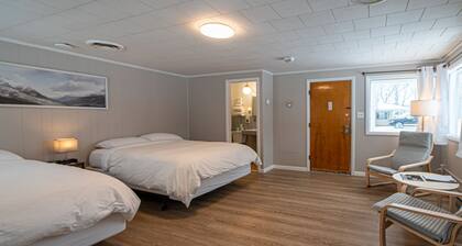 Star Gate Room 12 Indian River, MI