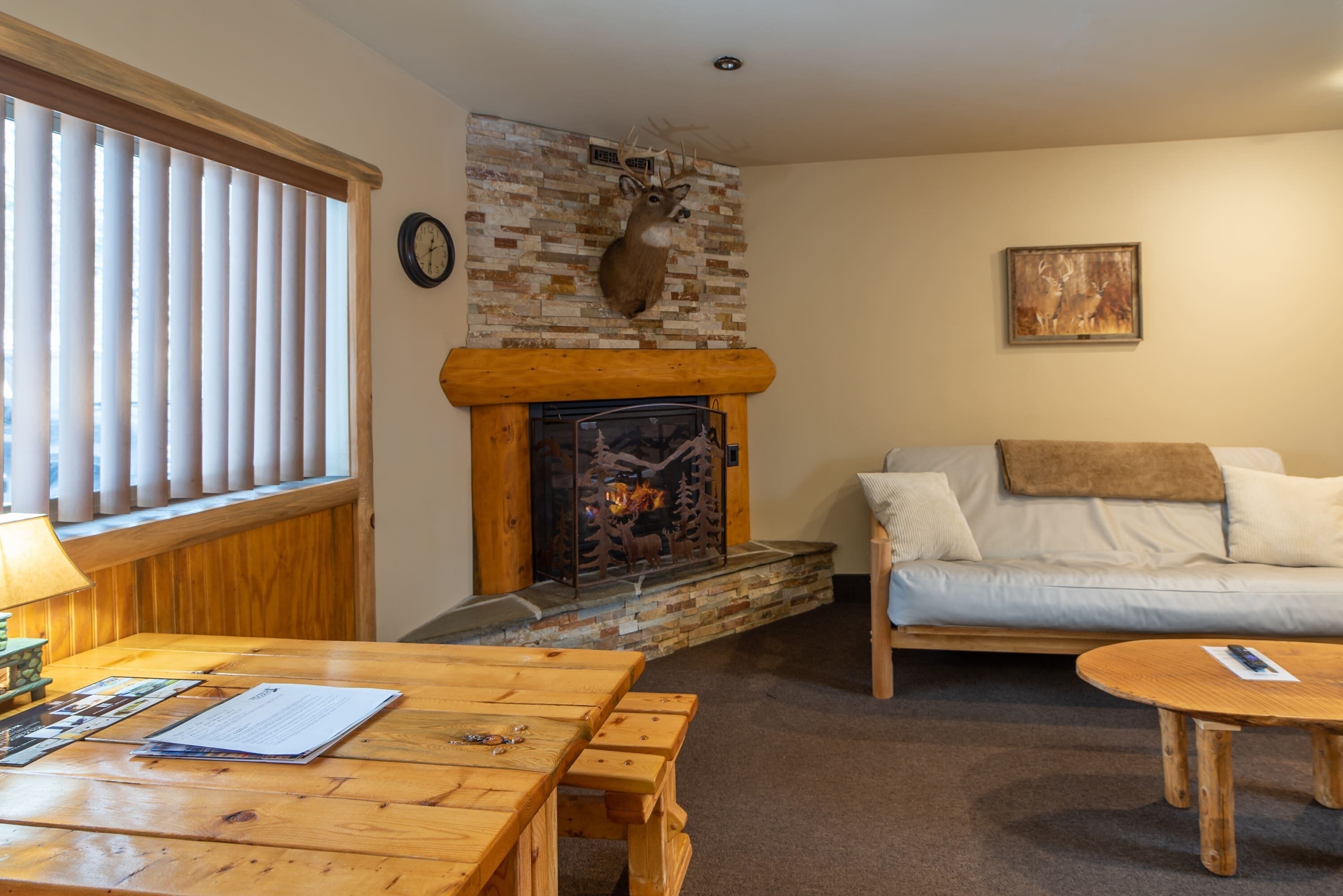 TV, fireplace, offices