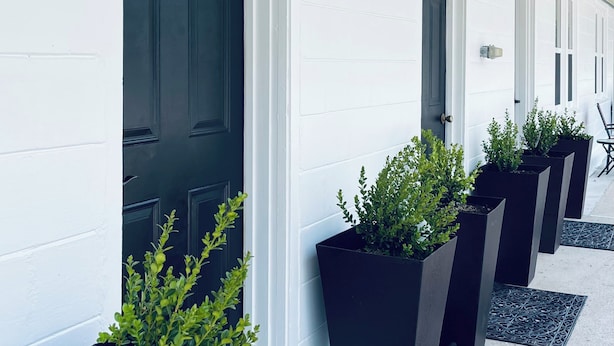 A row of dark-colored doors with a white exterior, each with a black planter box containing green plants. - House at Inland Lakes Motel (Indian River)