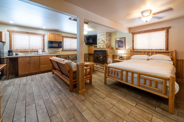 Studio layout with real log wood furniture and cozy fireplace.