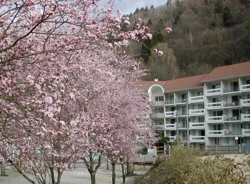 Wifi, terrace, parking, tv, ski locker, 29m², Le Collet d'Allevard