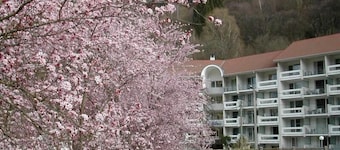 Wifi, terrace, parking, tv, ski locker, 29m², Le Collet d'Allevard