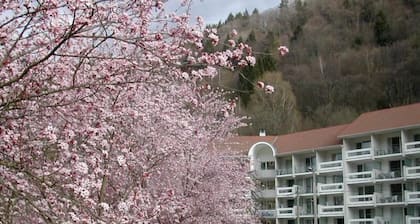 Wifi, terrasse, parking, tĂ©lĂ©vision, casier Ă ski, 29mÂČ, Le Collet d'Allevard