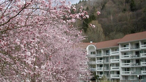 Un hôtel à plusieurs étages, doté de balcons, avec un parking situé à l’avant.