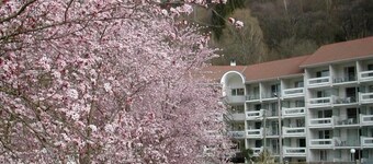 Wifi, terrace, parking, tv, ski locker, 29m², Le Collet d'Allevard