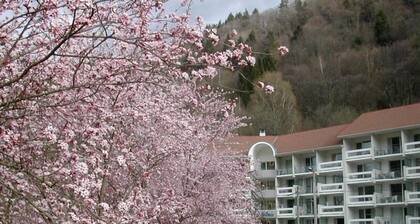 Wifi, terrasse, parking, tĂ©lĂ©vision, casier Ă ski, 29mÂČ, Le Collet d'Allevard