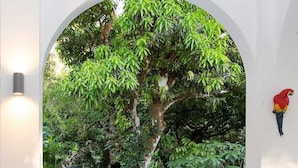 A swimming pool with a tiled deck, surrounded by lush greenery and a white archway. - Villa Lapas: Spacious, Lush 2-Bedroom Home & 2-Bedroom Apart, Central, Wildlife! (Quepos)