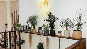 Een houten trap met een leuning, leidend naar een plateau waarop verschillende potplanten op een plank staan.