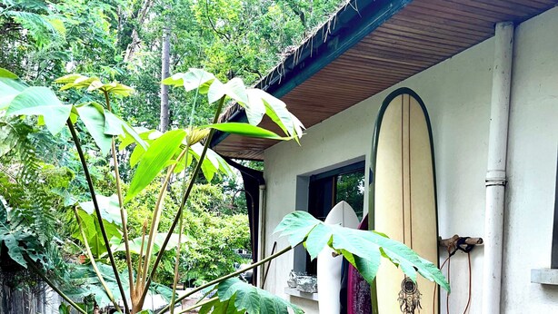 Een houten terras met een surfboard tegen een muur, omringd door grote groene bladeren.