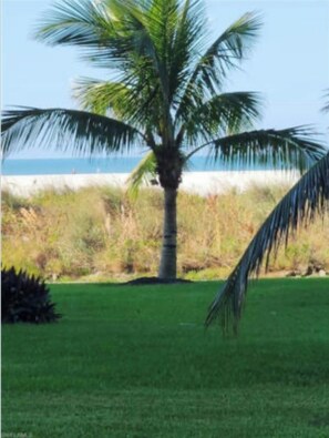 On the beach, sun loungers, beach towels