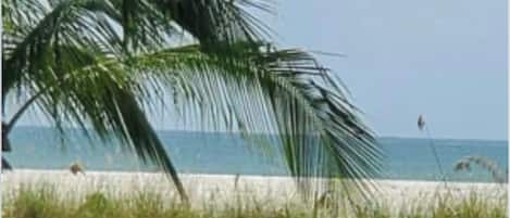 On the beach, sun loungers, beach towels