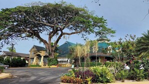A hotel with a large tree in front, a building with a green roof, and various plants around. - The Royal Hotel (San Fernando)