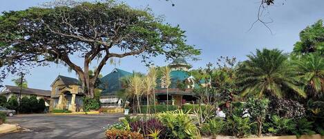 Un hotel con un grande albero di fronte, un edificio con tetto verde e diverse piante nei dintorni.