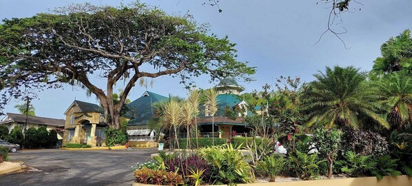 A hotel with a large tree in front, a building with a green roof, and various plants around. - The Royal Hotel (San Fernando)