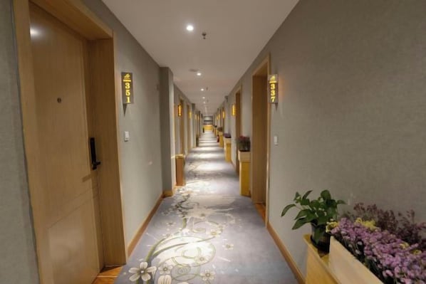 A hotel corridor with doors numbered 351 and 337, a floral carpet, and a planter with flowers.
