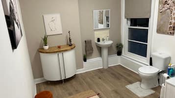 Combined shower/bathtub, deep-soaking bathtub, hair dryer, towels