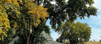 Historic Century Old Farmhouse on 80 Acres; Privacy, Walking Trails and Nature!