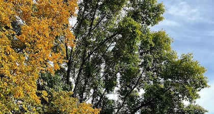 Historic Century Old Farmhouse on 80 Acres; Privacy, Walking Trails and Nature!